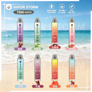 VAPOR STORM風暴辣妹7500口拋棄式一次性可充電電子煙（5%）